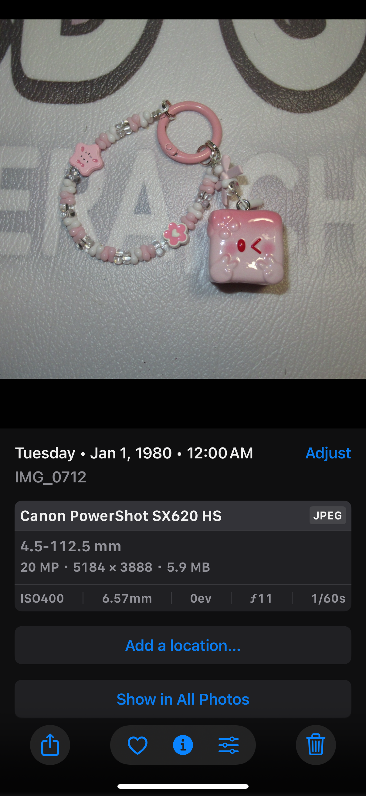Canon PowerShot SX620 HS 20.2 MP Compact Digital Camera
