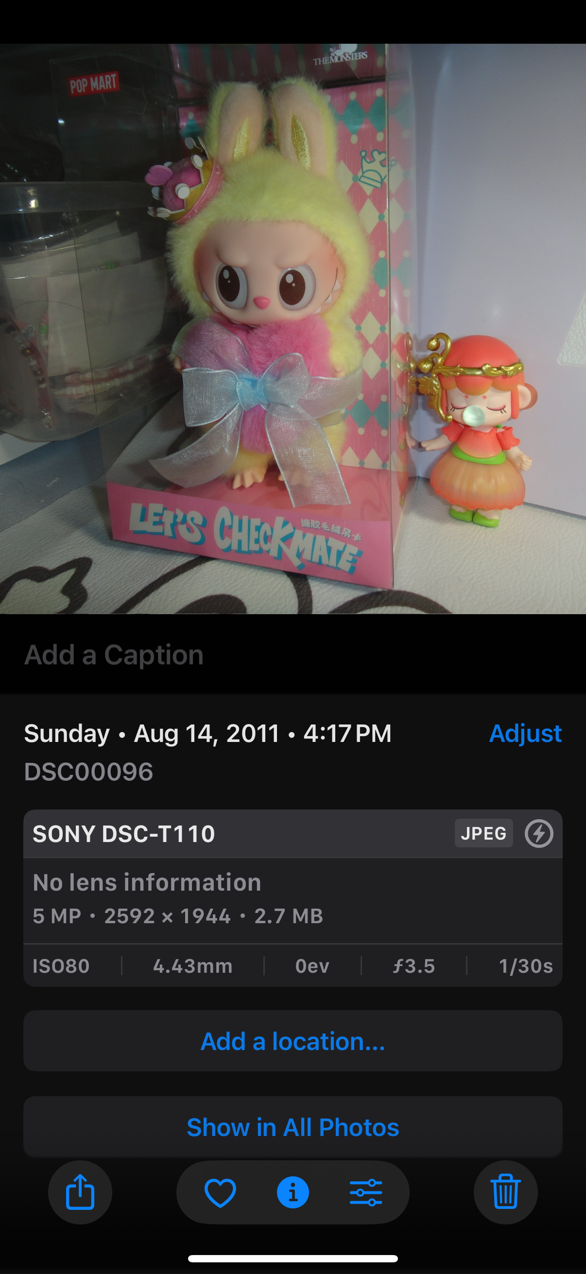 SONY DSC-T110 Digital Camera Cyber Shot