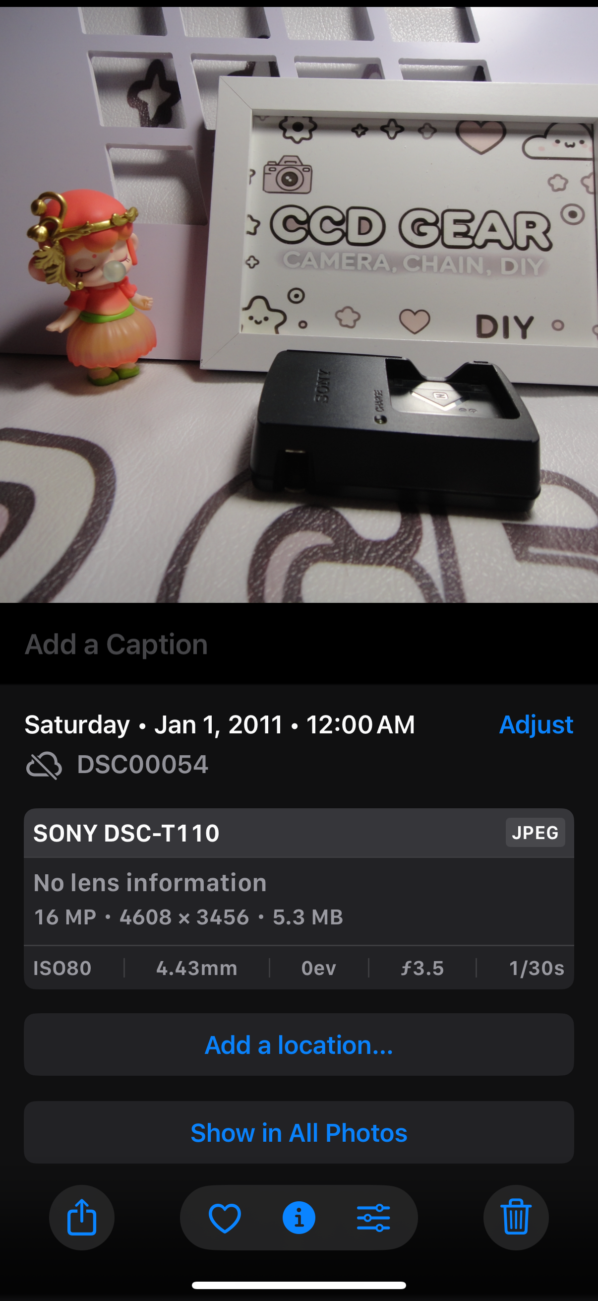SONY DSC-T110 Digital Camera Cyber Shot