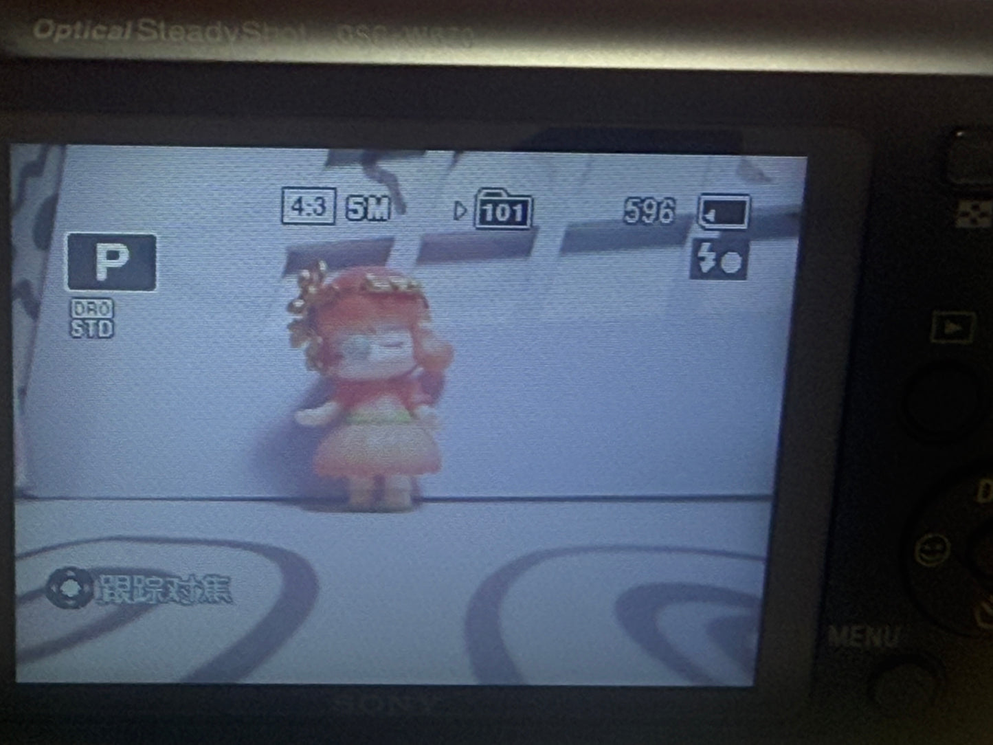 Sony DSC-W670 16.1MP Cybershot Digital Camera
