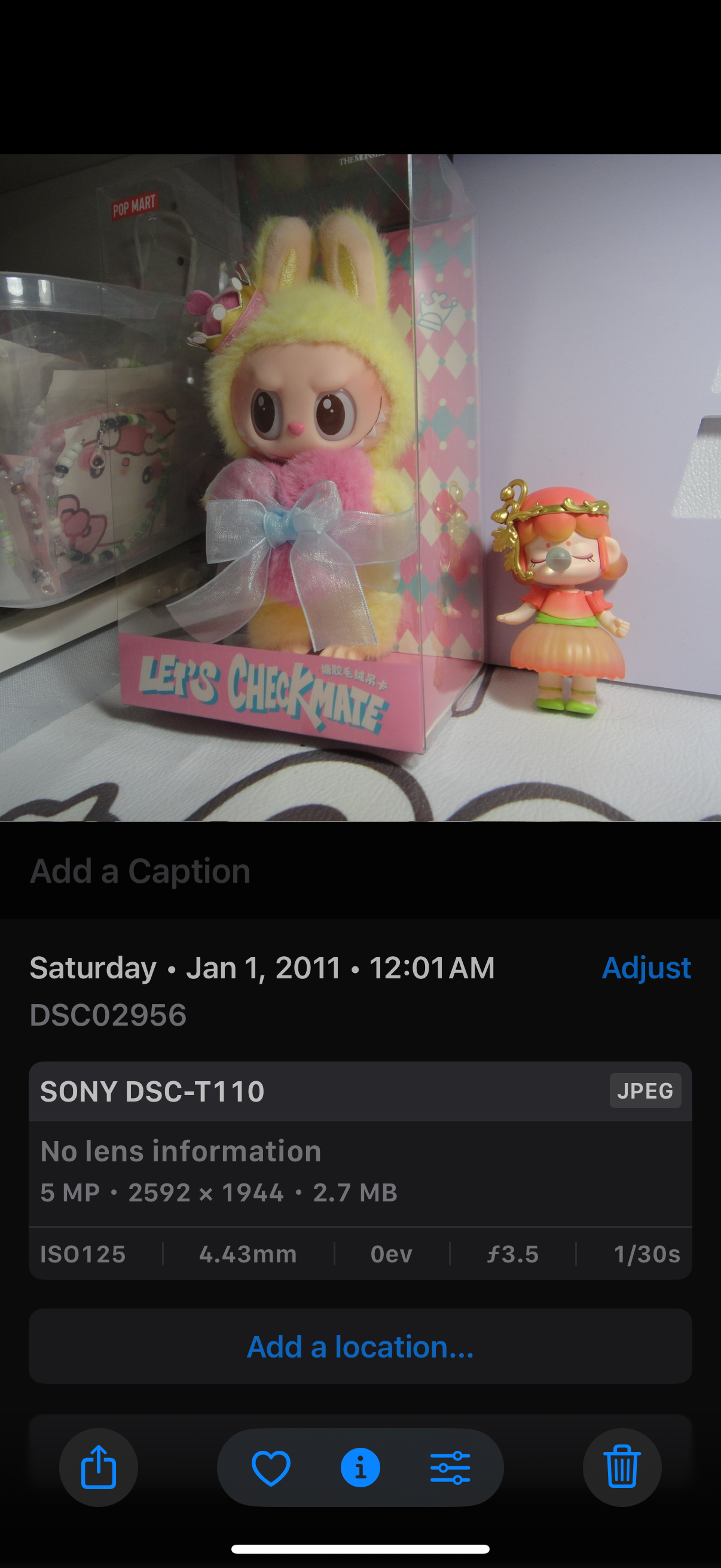 SONY DSC-T110 Digital Camera Cyber Shot