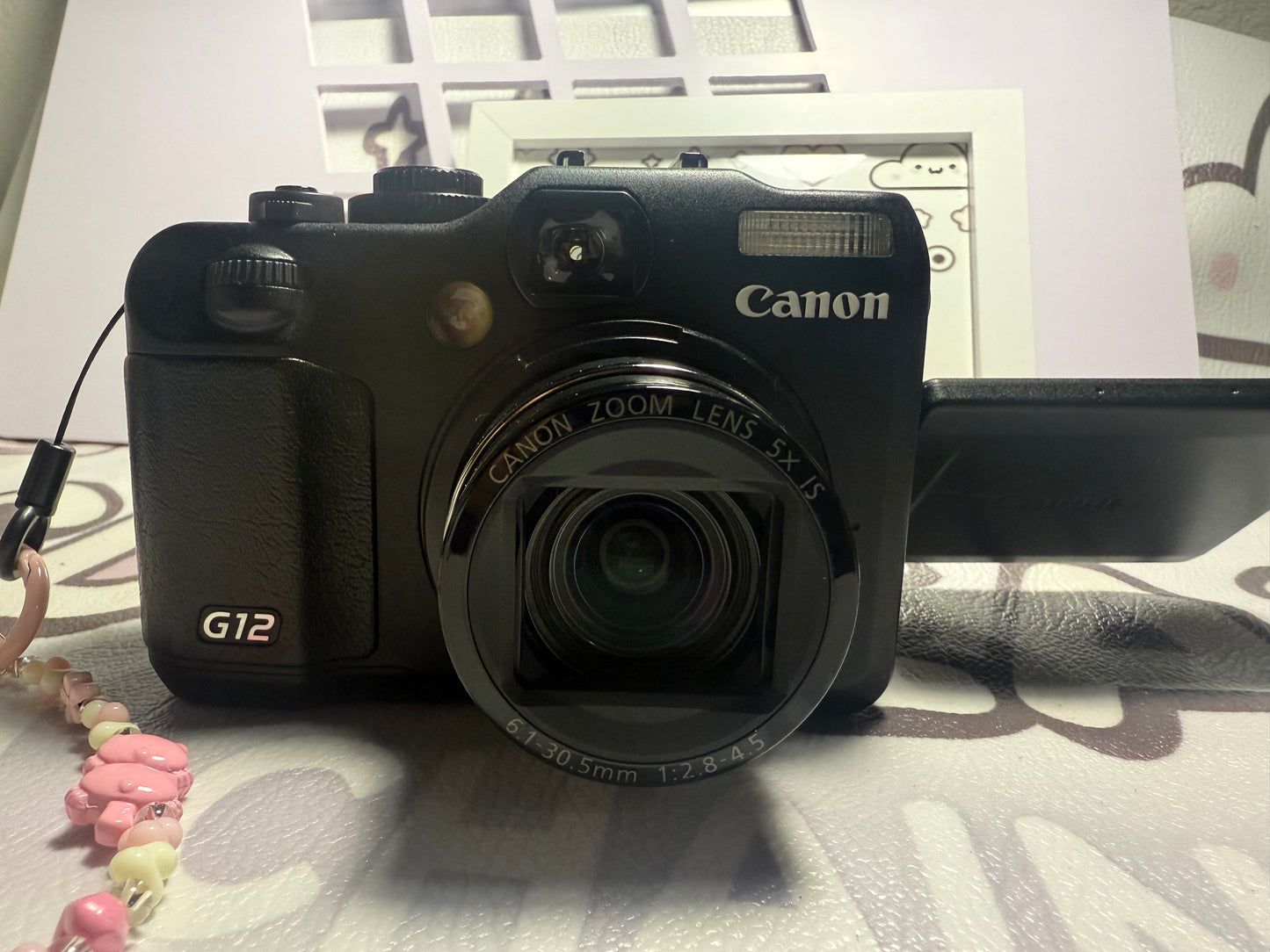 Canon PowerShot G12 Digital Camera