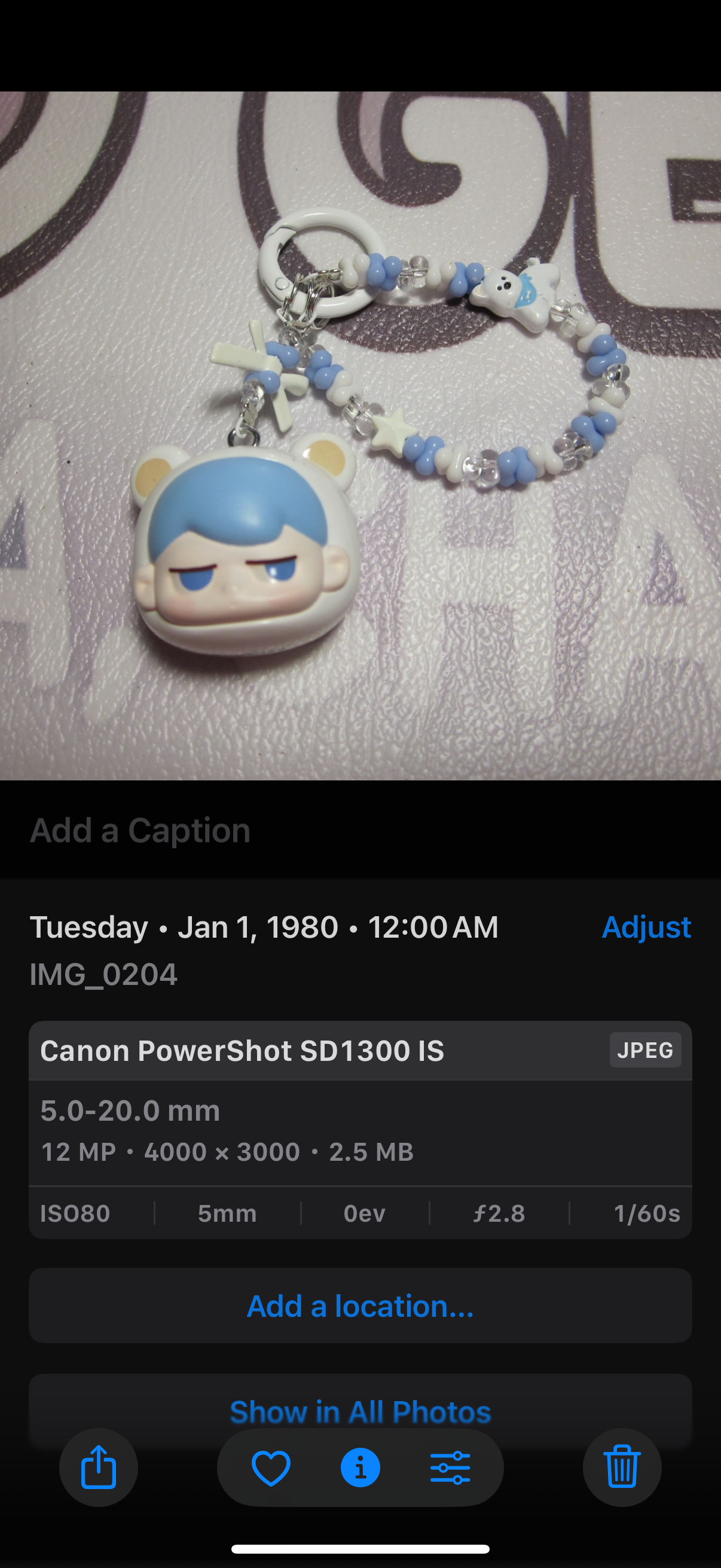 Canon PowerShot Digital SD1300 IS (IXUS 105) IS Camera