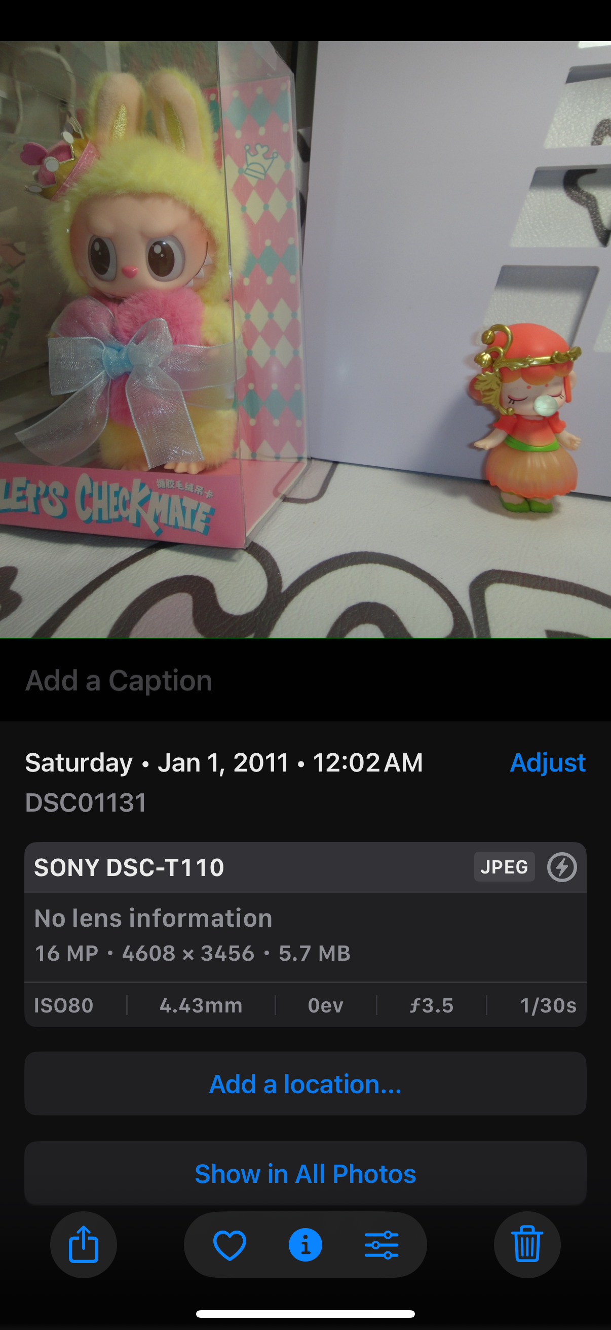 SONY DSC-T110 Digital Camera Cyber Shot