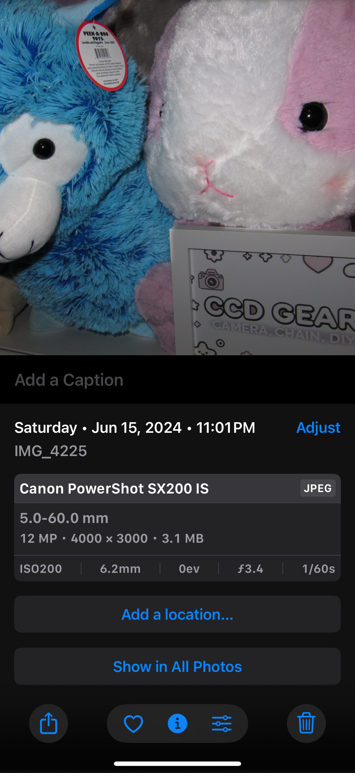 Canon PowerShot SX200 IS 12.1mp 12x Optical Zoom Digital Camera