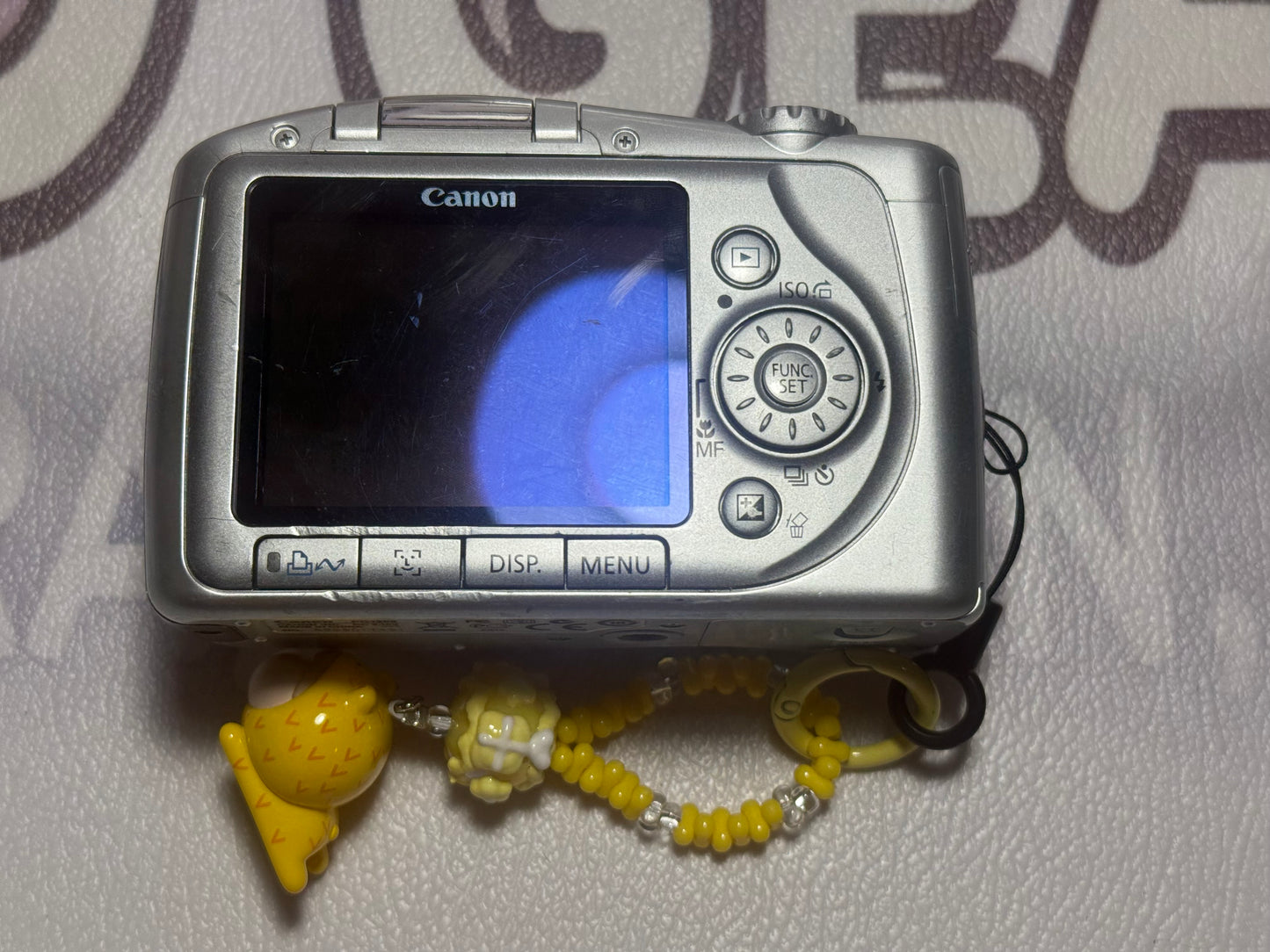 Canon PowerShot SX100 IS 8.0MP 10X Zoom Digital Camera