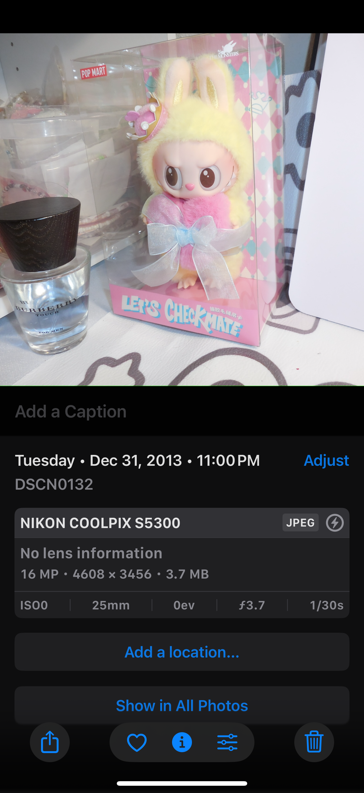 Nikon COOLPIX S5300 Digital Camera