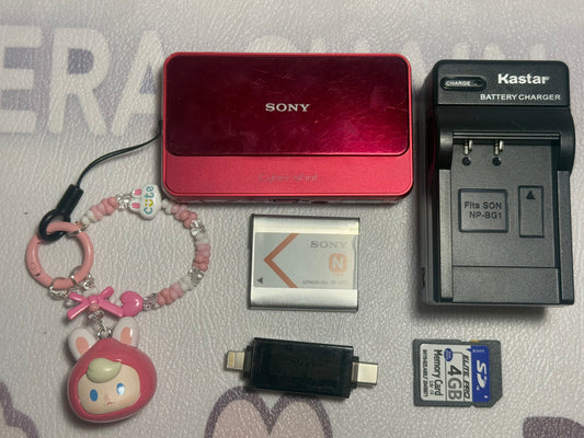 SONY DSC-T110 Digital Camera Cyber Shot