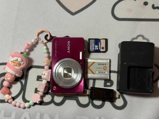 Sony Cyber-shot DSC-WX170 18.2MP Digital Camera Pink