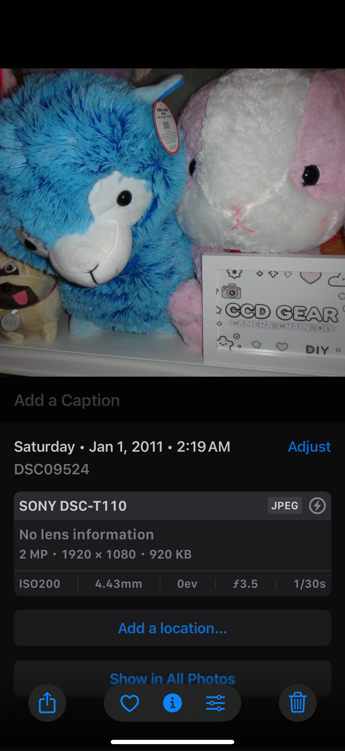 SONY DSC-T110 Digital Camera Cyber Shot