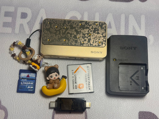 SONY Cyber Shot DSC-T99 14.1MP 4x Compact Digital Camera