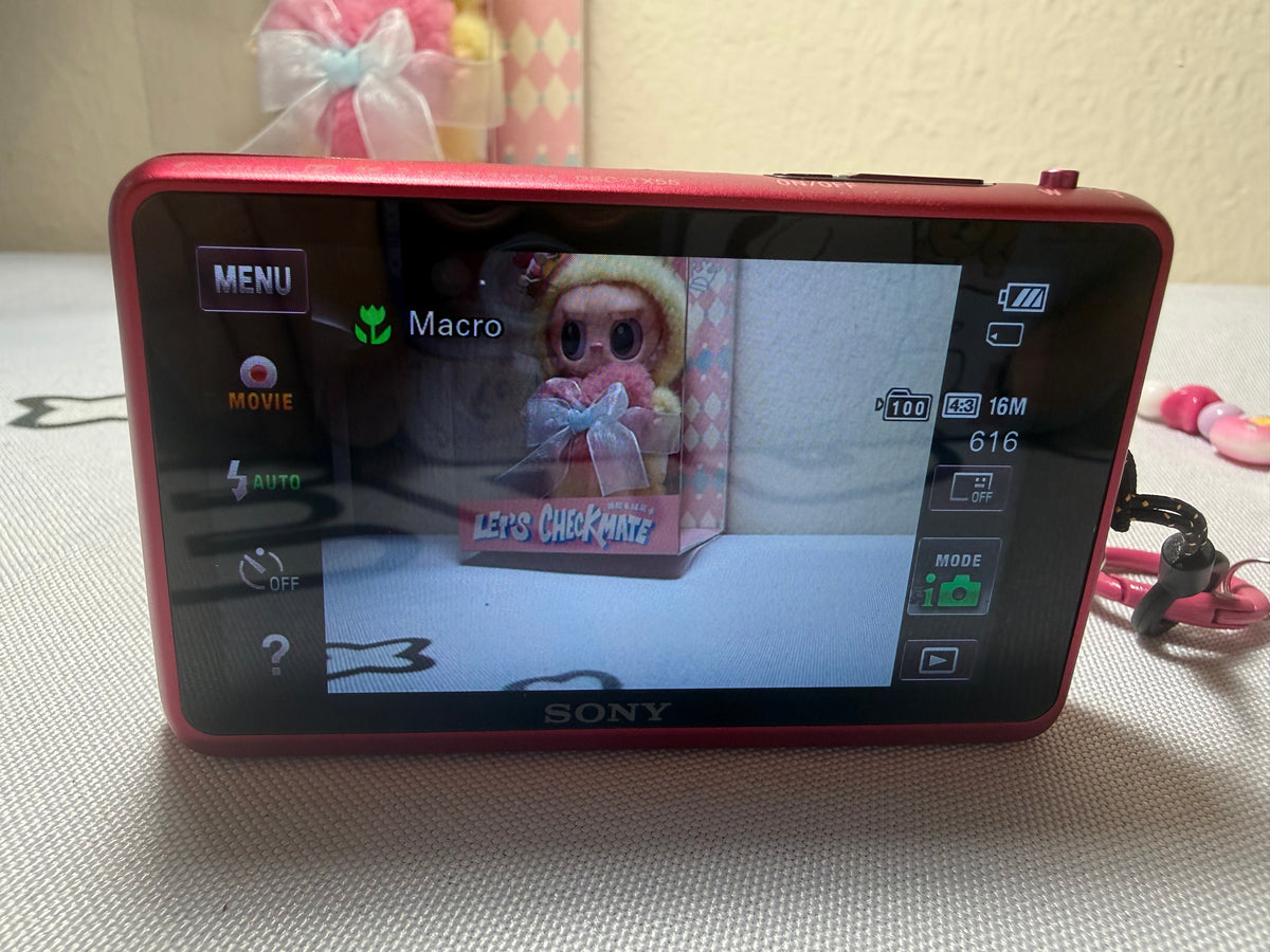 Sony Cyber-shot DSC-TX55 Pink 16.2MP Digital Camera