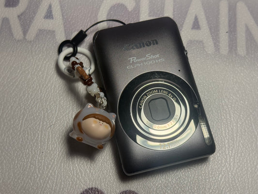 Canon PowerShot Digital ELPH 100 HS（IXUS115） IS Camera