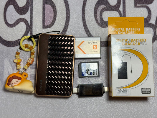 SONY Cyber Shot DSC-T99D 14.1MP Digital Camera