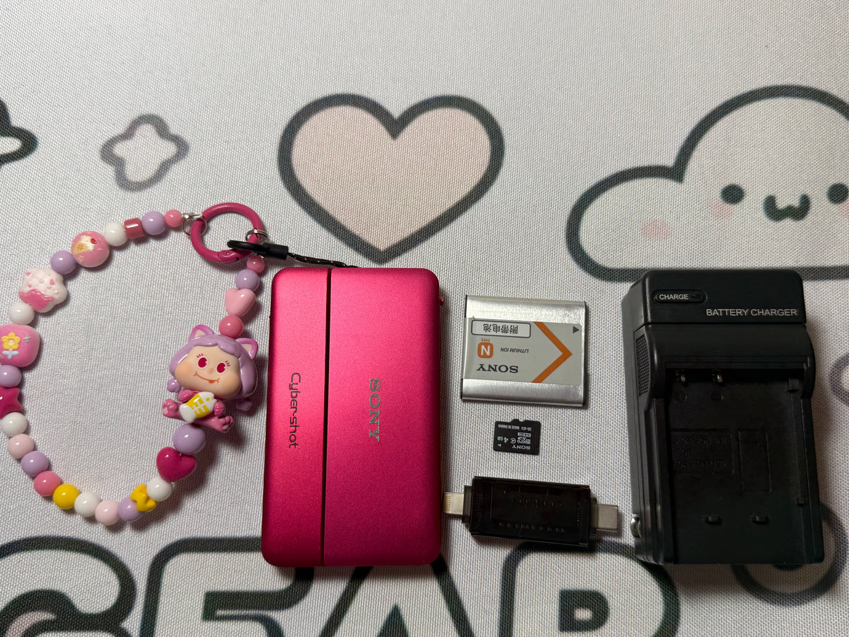 Sony Cyber-shot DSC-TX55 Pink 16.2MP Digital Camera