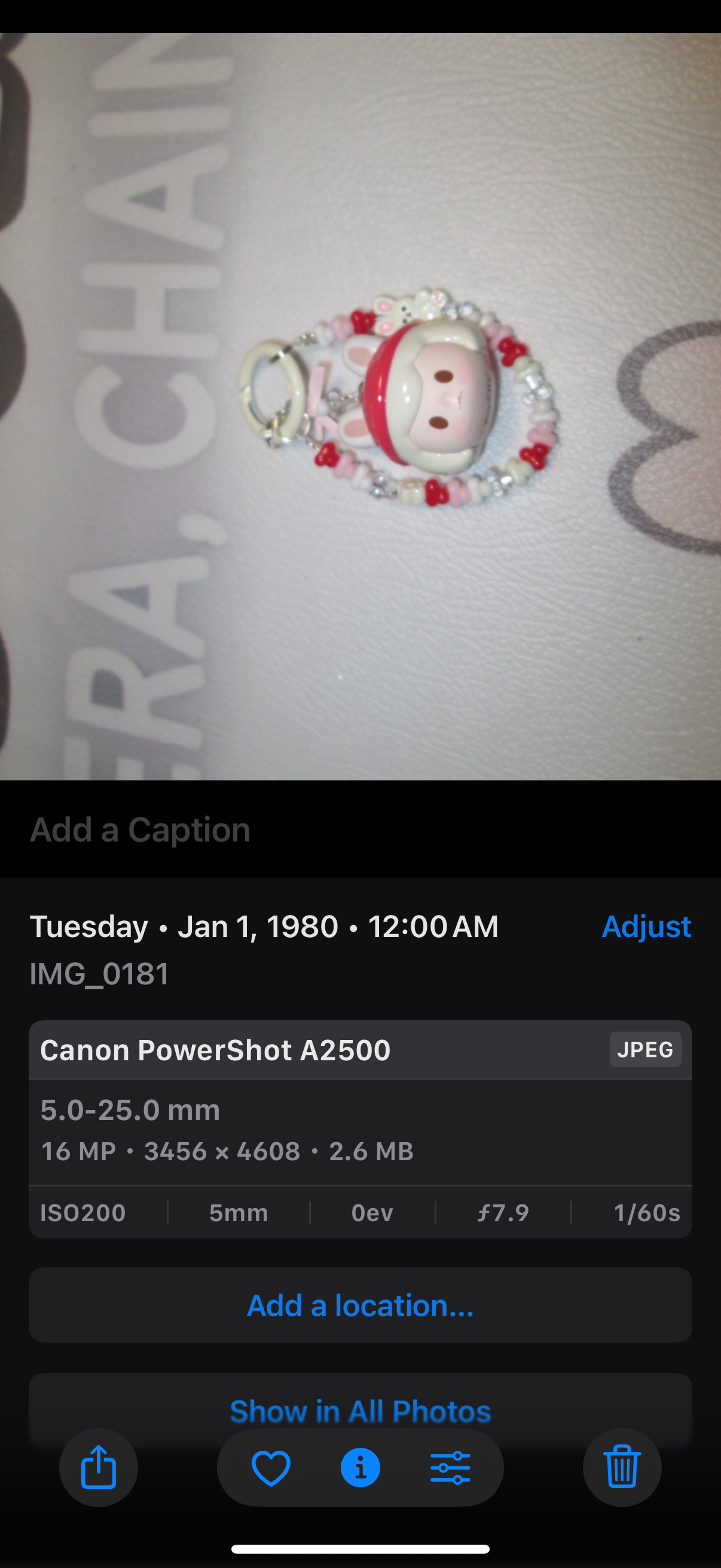 Canon PowerShot A2500 Silver Digital Camera
