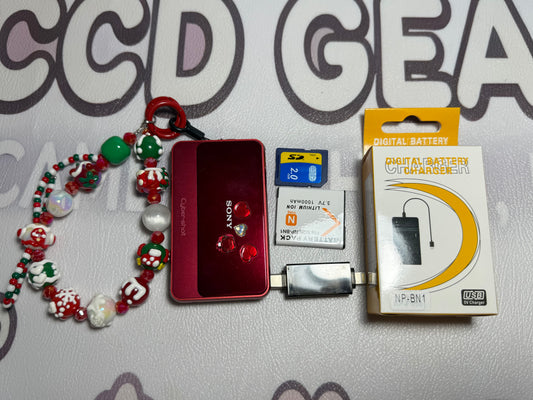 SONY DSC-T110 Digital Camera Cyber Shot