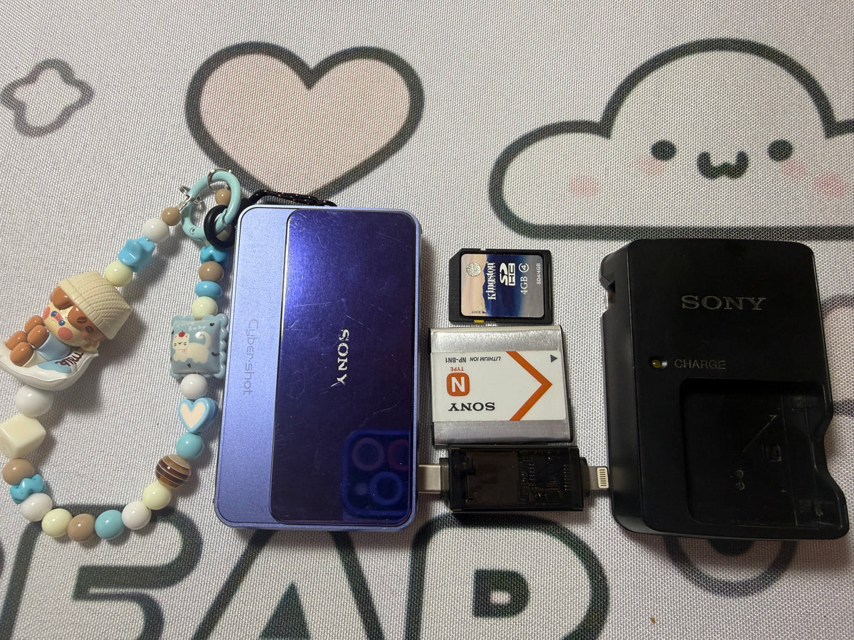 SONY DSC-T110 Digital Camera Cyber Shot （Iris Purple ）