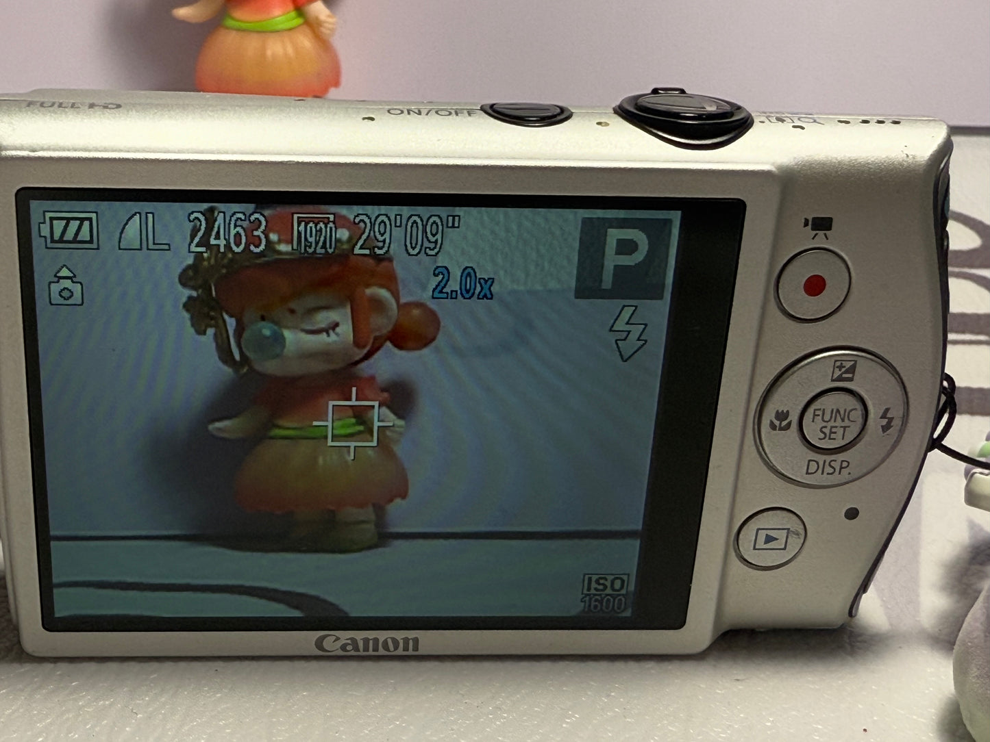 Canon PowerShot Digital ELPH 310 HS（IXUS230） IS Camera