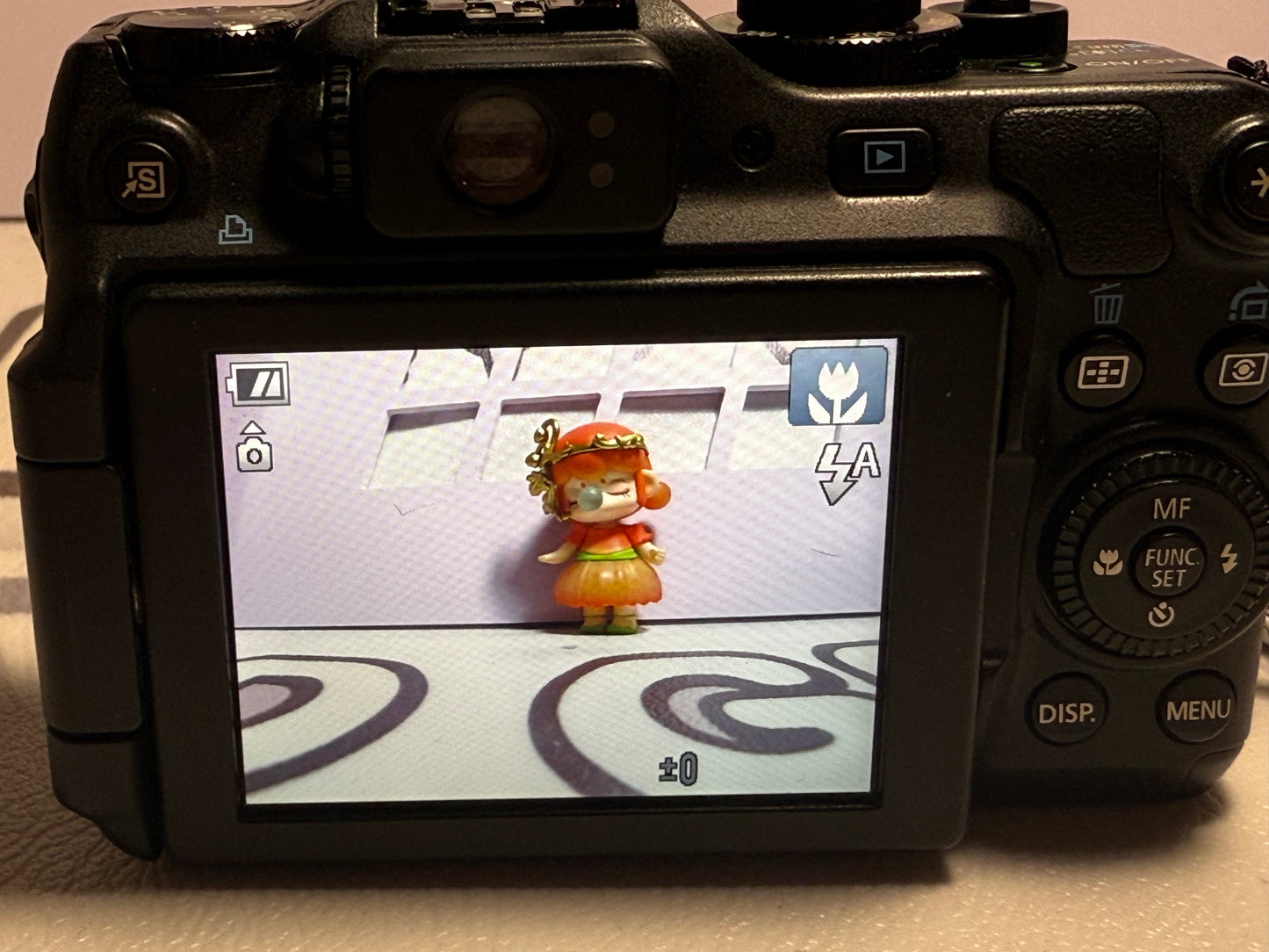 Canon PowerShot G12 Digital Camera