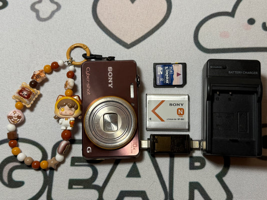Sony Cyber-Shot DSC-WX100 Digital Camera 18.2 MP 10x Optical Zoom Brown