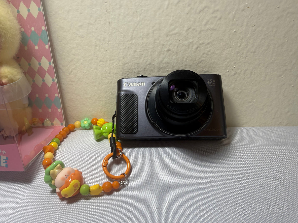 Canon PowerShot SX620 HS 20.2 MP Compact Digital Camera