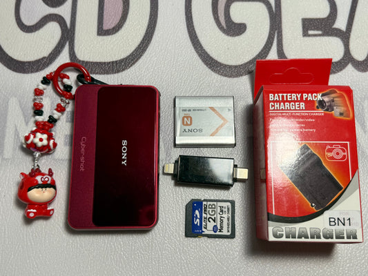 SONY DSC-T110 Digital Camera Cyber Shot