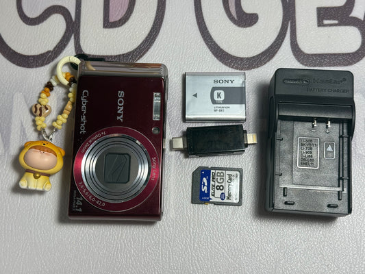 Sony Cyber-shot DSC-W370 14.1MP Digital Camera