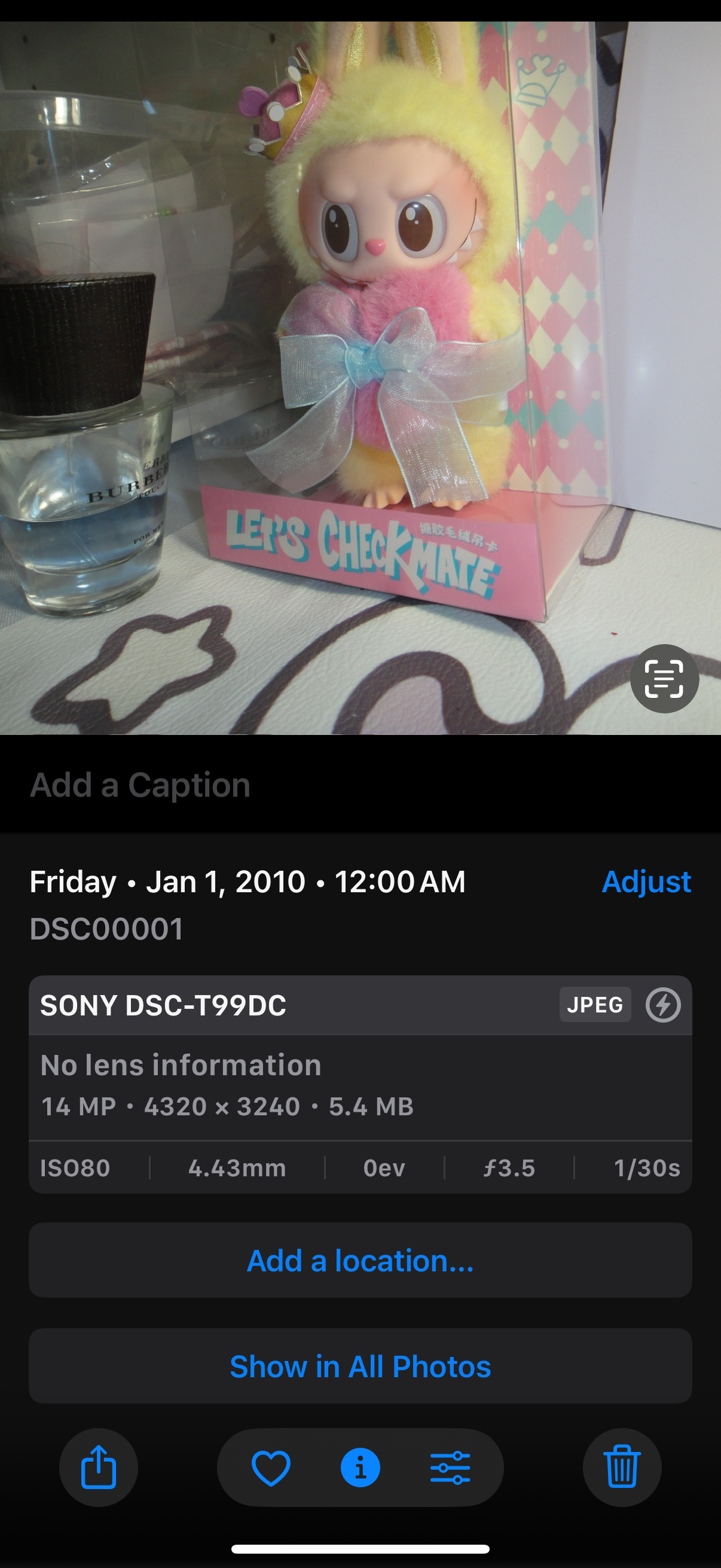 SONY Cyber Shot DSC-T99D 14.1MP Digital Camera