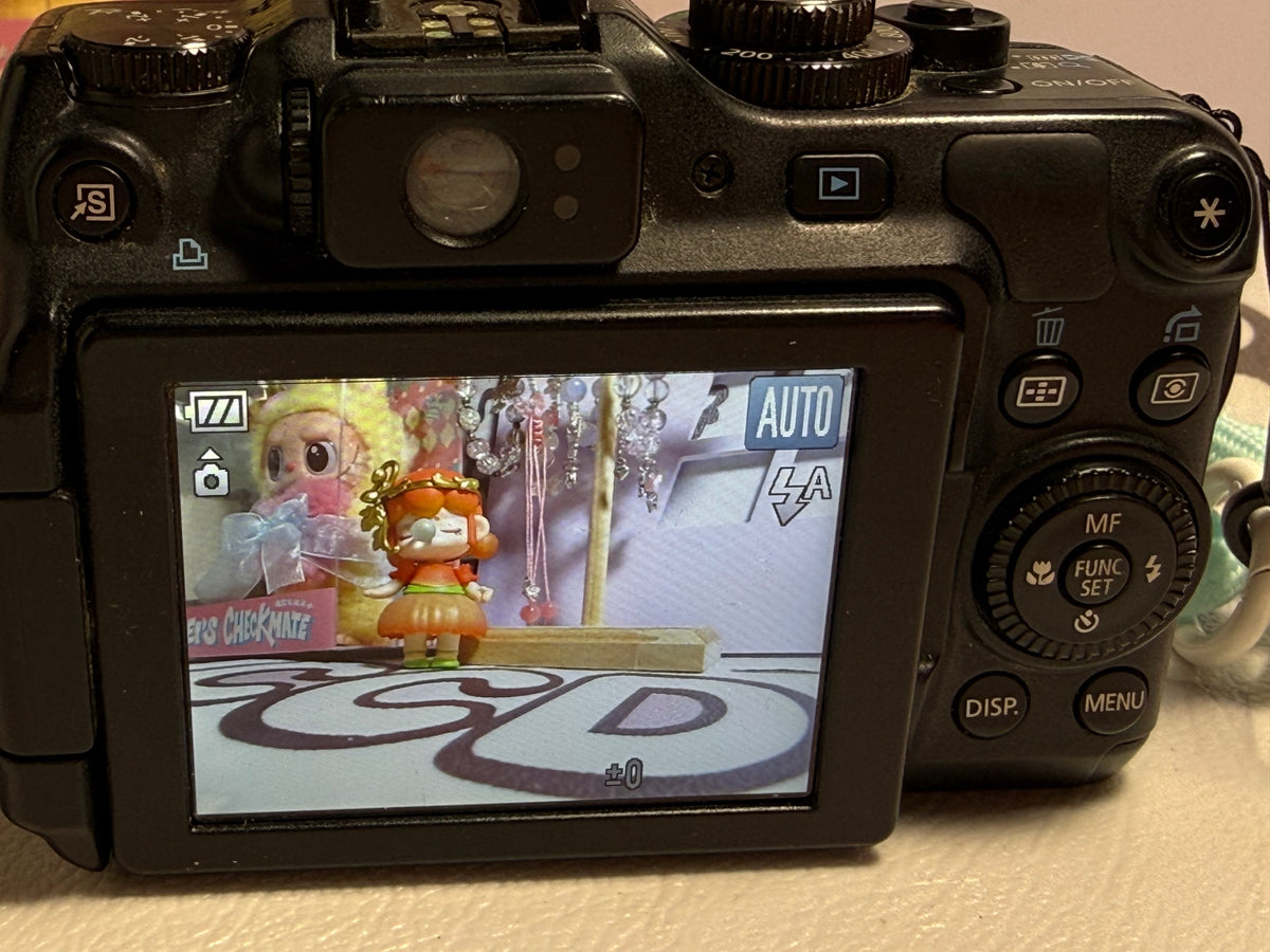 Canon PowerShot G12 Digital Camera