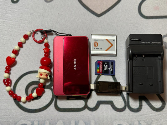 SONY DSC-T110 Digital Camera Cyber Shot